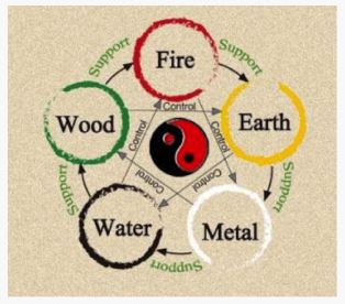 TCM 5 Element System